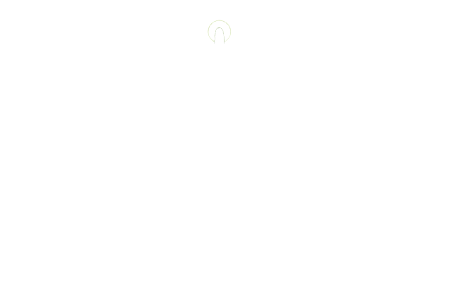Evangelical Ministries International